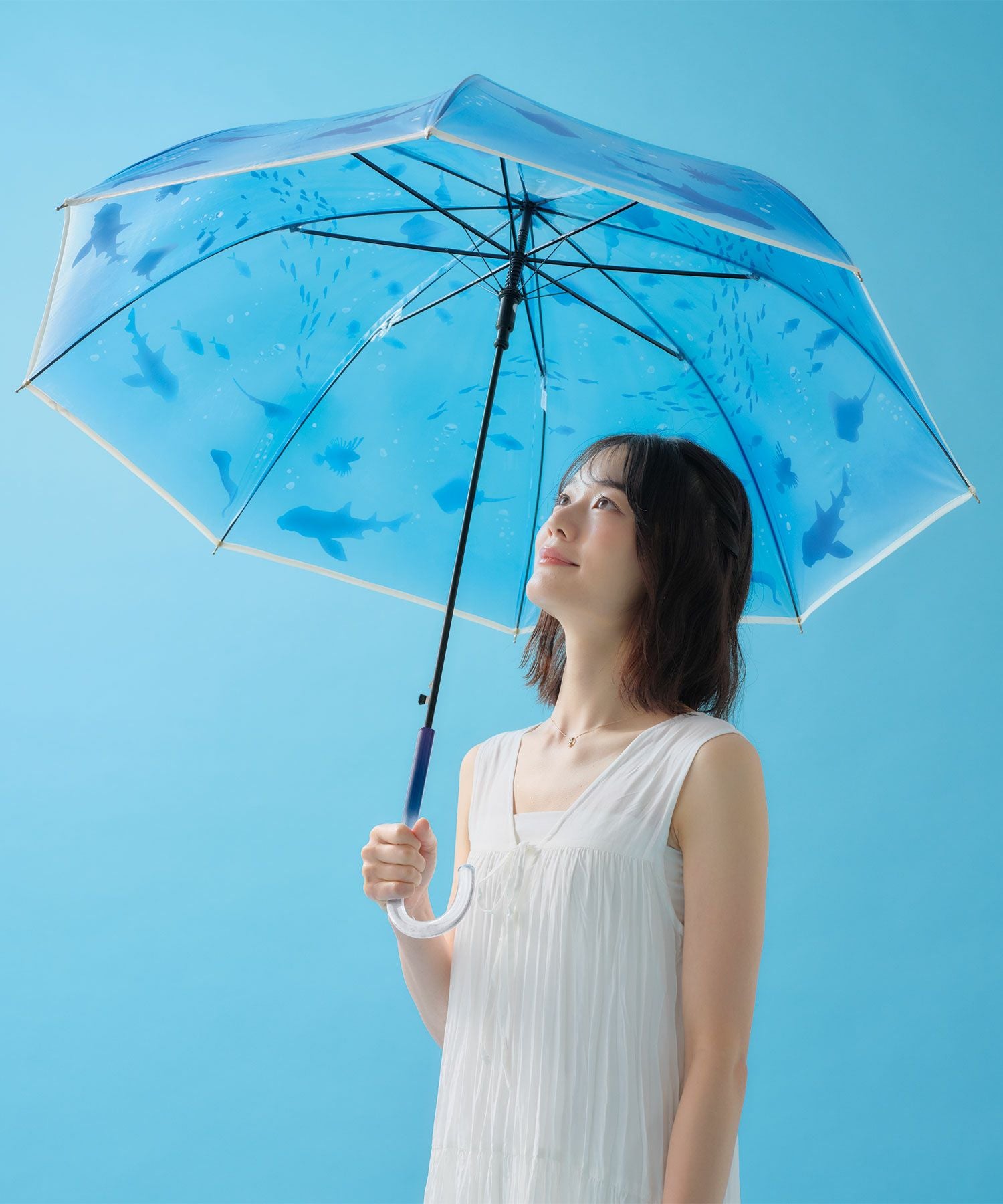 えのすい× Wpc. アンブレラ おはよう、大水槽 おやすみ 、くらげ 新