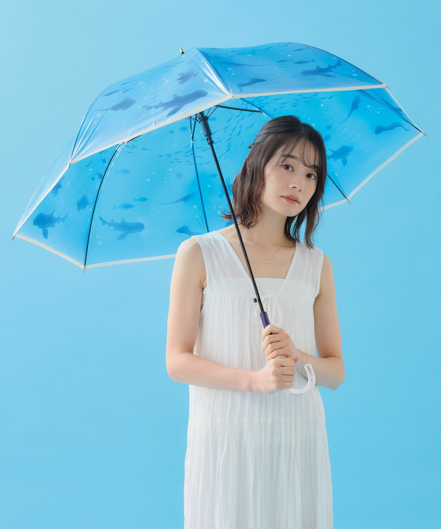 えのすい× Wpc. アンブレラ おはよう、大水槽 おやすみ 、くらげ 新