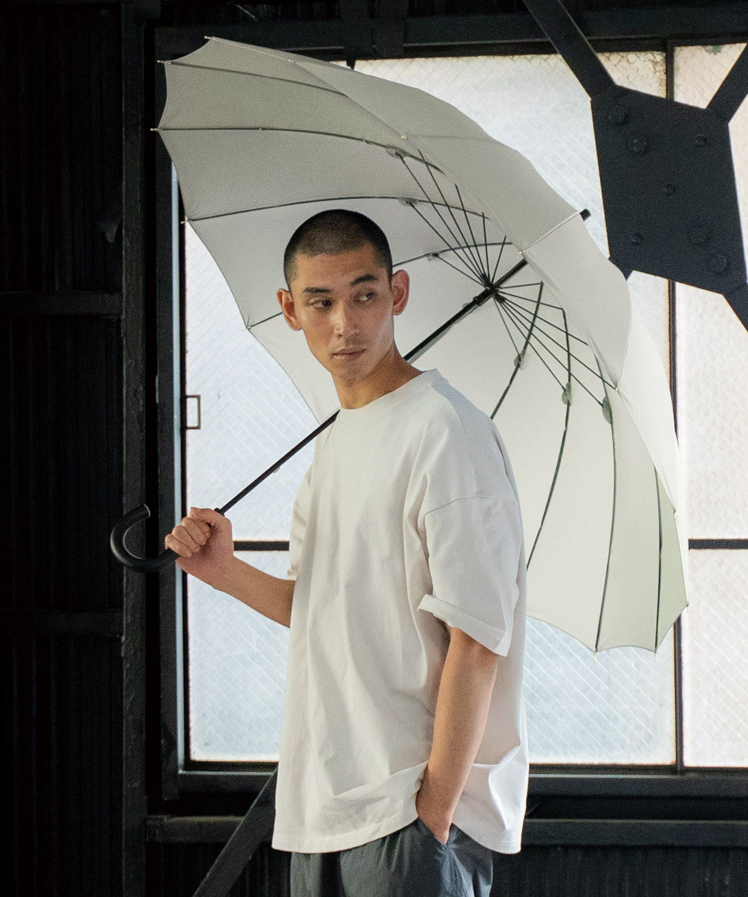 公式限定》16K UMBRELLA LARGE 雨傘 長傘 16本骨 多骨 晴雨兼用 Wpc